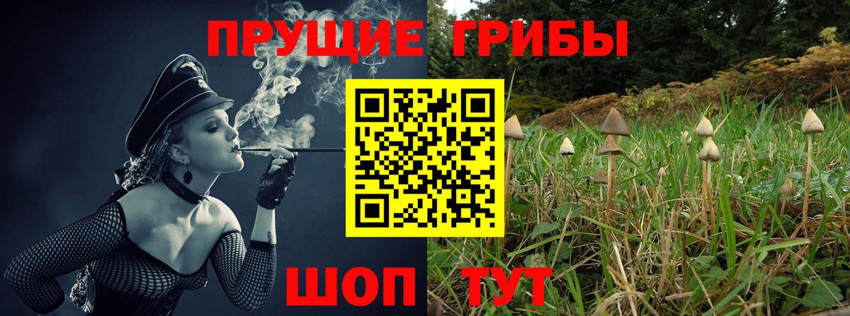 Псилоцибиновые грибы прущие грибы Унеча