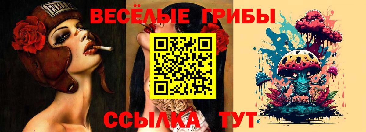 Псилоцибиновые грибы GOLDEN TEACHER  Галлюциногенные грибы Psilocybe  Вход с VPN  Унеча 
